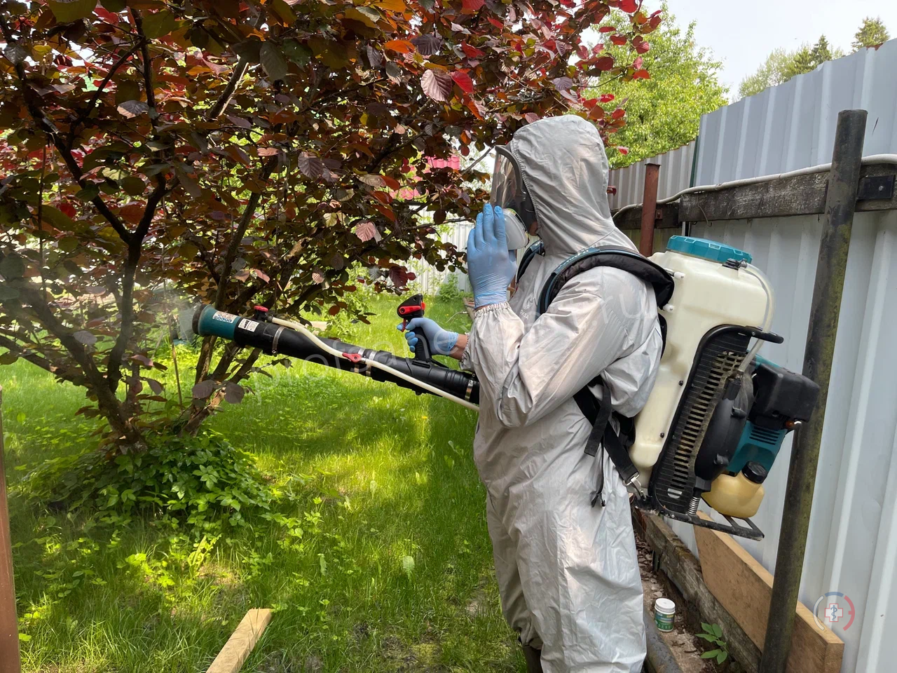 Галерея